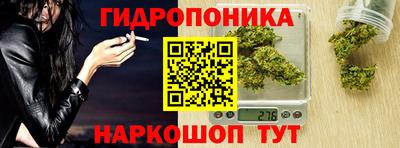 спиды Аргун