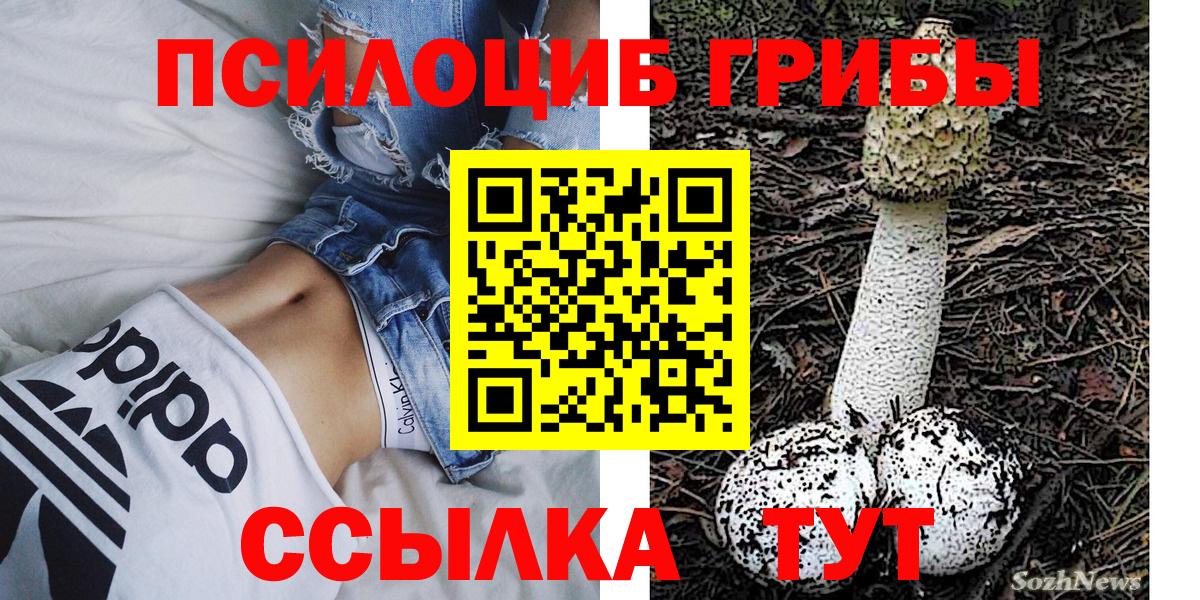 что такое наркотик  Галлюциногенные грибы Magic Shrooms  Всеволожск  Вход с VPN  Галлюциногенные грибы Psilocybe 