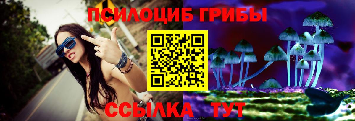 Конопля  ГАШ  Всеволожск  КОКАИН  Меф   Вход с VPN  НБОМе 